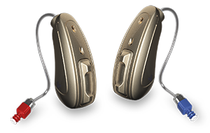 Rechargeable Hearing<br/>Systems Wings<br/>Chip Technology